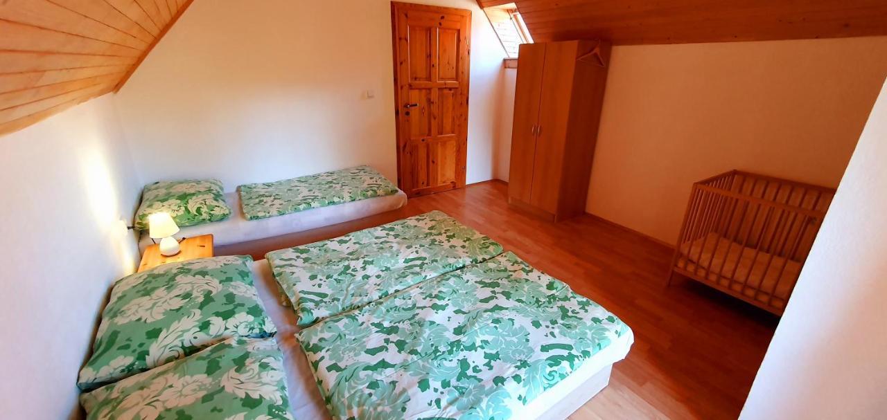Vilka Cibulka A Chata Cesnacik Ižipovce Exterior foto